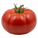Tomato Bush Steak (Megabyte) Plants (Set of 3 or 6)
