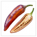 Grow Your Own Chilli Pepper Atomic Plants (Set of 3 or 6)