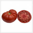Supersteak Beefsteak Tomato Plants