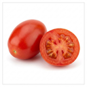 Cherry Tomato Floridity Plants