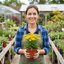 Set of 3 or 6 Achillea Cloth of Gold Yarrow Plants, Hardy Perennial, Bee Friendly Garden Flowers, Outdoor Garden Ready, 1 Litre Root-Ball