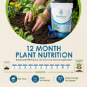 CircleRoot Advanced Soil Enhancer – Water 50% Less