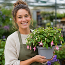 Fuchsia Bush Patio Princess Plant (5L Pot)