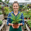 6 Scaly Male Fern Dryopteris Cristata Plants, Hardy Evergreen Perennial, 1 Litre Root-Ball