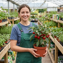 Grow Your Own Sweet Pepper Snack Red Plant
