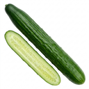 Cucumber Tasty Green Plants