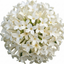 Set of 3 or 6 Osmanthus Burkwoodii Plants, Fragrant Evergreen Hedging Shrubs, Outdoor Garden Ready, White Flowers, 11cm Root-Ball