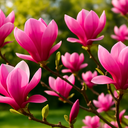 Flowering Trees