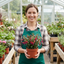 Set of 3 or 6 Large Plants - Fuchsia Tom Thumb, Ready to Plant in Your Garden, 1L Rootballs