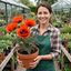 Set of 3 or 6 Papaver orientale ‘Brilliant’ Hardy Perennial Red Poppy Plants, Outdoor Garden Ready, 1 Litre Root-Ball