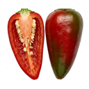 Apache Chilli Pepper Plants