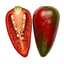 1 Apache Chilli Pepper Plant, Live Hot Pepper, Patio Ready, Grow Your Own Chilli, 2Ltr Root Ball