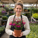 Upright Fuchsia Fuchsita Red & Blue Plant (2L Pot)