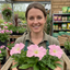 Set of 3 Large Plants - Petunia Express Apple Blossom, Outdoor Garden Ready
