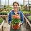Set of 3 or 6 Ranunculus Vortex Orange Pink Persian Buttercup Plants, Hardy Perennial, Spring Flowering, Outdoor Garden Ready, 1 Litre Root-Ball