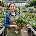 10.5cm Trailing Fuchsia Cascade Plants, 3 Pack, Pink and White, Hanging Basket Summer Bedding, Pots