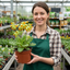 3 Primula Veris Lime with Orange Plants, Hardy Spring Flowering Perennial, 11cm Root-Ball
