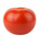Tomato Alicante Variety Plants (Set of 3 or 6)