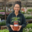1 Patio Cherry Tomato Plant, Veranda Red, Live Outdoor Garden Ready, 2 Litre Root-Ball