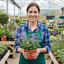 Set of 3 or 6 Nepeta Faassenii Catmint Plants, Hardy Perennial, Bee Friendly Blue Flowering Plants, Outdoor Garden Ready, 1 Litre Root-Ball