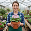 Set of 3 or 6 Primrose Queen Lilac Picotee Plants, Hardy Perennial, Spring & Autumn Flowering, Outdoor Garden Ready, 1 Litre Root-Ball