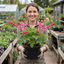 1 Dicentra Luxuriant Bleeding Heart Plant, Hardy Shade Perennial, Garden Ready, 17cm Root-Ball