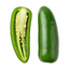 1 Jalapeno Chilli Pepper Plant, Garden Ready, Grow Your Own Hot Peppers, 2 Litre Root Ball