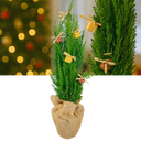 Christmas tree in Jute Sack with baubles Plant