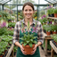 3 Large Plants - Foxglove Foxy Mix, Ready to Plant in Your Garden, 1L Rootballs
