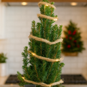 Christmas tree in sack with lights Plant