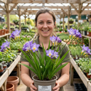 Freesia Delta River Plants