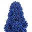 Ceanothus Puget Blue Plant | California Lilac Hardy Evergreen Blue Flowering Shrub Plant (3L Pot)