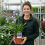 1 Large Plant - Agapanthus Charlotte, Ready to Plant in Your Garden, 2L Pot