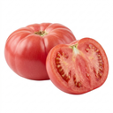 Brandy Boy Beefsteak Tomato Plants