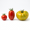 Tomato Growers Selection Variety Plants (Set of 3 or 6)
