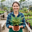 Set of 3 or 6 Lady Fern Athyrium Lady in Red Hardy Perennial Plants, Shade Garden Ready, Outdoor Fern, 11cm or 1L Root Ball