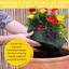7 Colour Coordinated Plants - Brilliant Bling Theme Speedplanter, Garden Ready